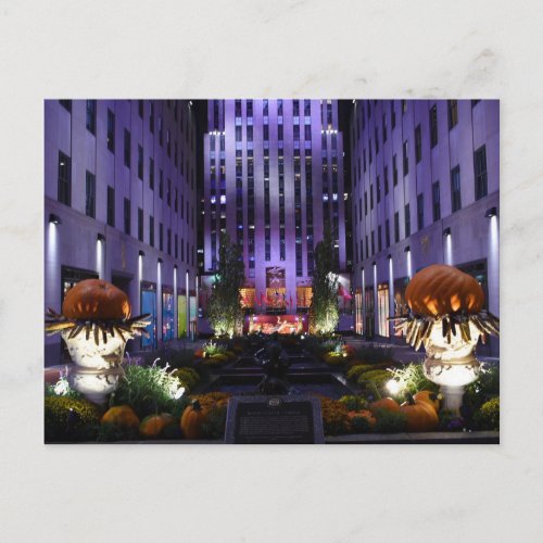 New York City Photography Channel Gardens NYC Postcard