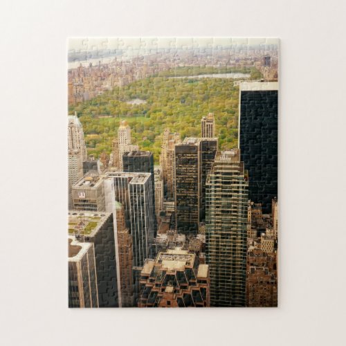 New York City Puzzle _ Central Park and Skyline