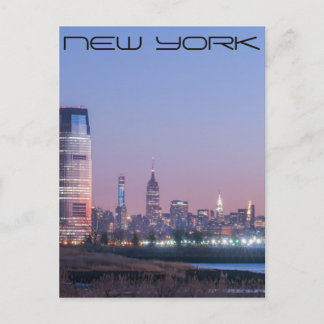 New York City skyline Postcard