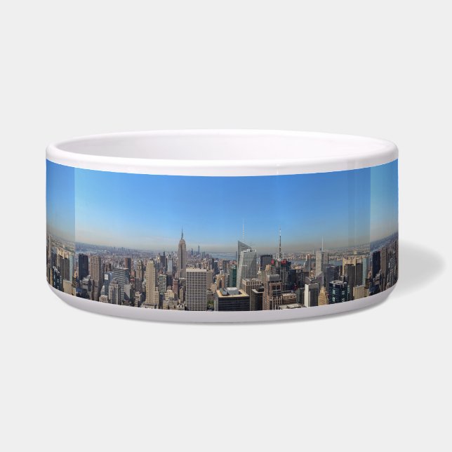 New York City Skyscrapers State Destiny Destiny'S Bowl (Front)
