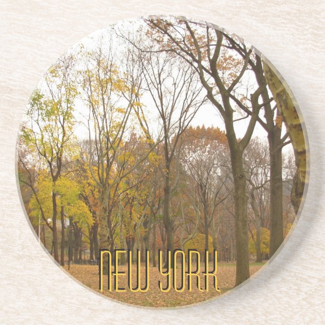 New York Coaster Central Park NY Souvenir Coaster (Front)