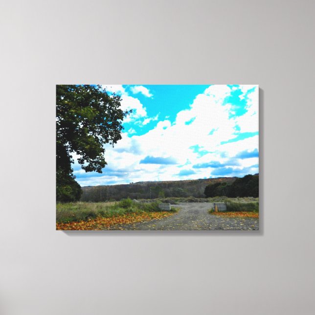 NEW YORK COUNTRY ROAD canvas Print (Front)