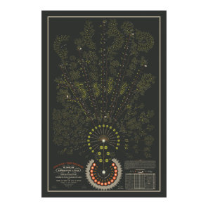 New York & Erie Railroad Org - Dark - Color Poster
