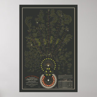 New York & Erie Railroad Org - Dark - Color Poster