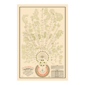 New York & Erie Railroad Org - Light - Color Poster