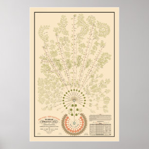 New York & Erie Railroad Org - Light - Color Poster