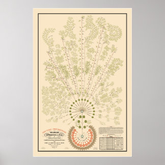 New York & Erie Railroad Org - Light - Color Poster