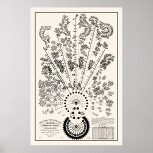 New York & Erie Railroad Org - Light - Outline Poster