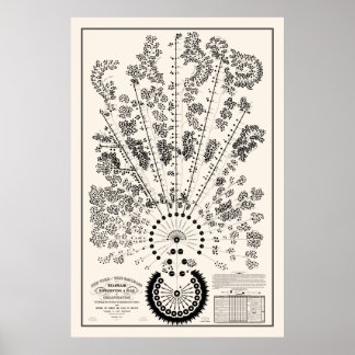 New York & Erie Railroad Org - Light - Outline Poster