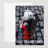 New York Fire Hydrant Illustration (Front/Back)