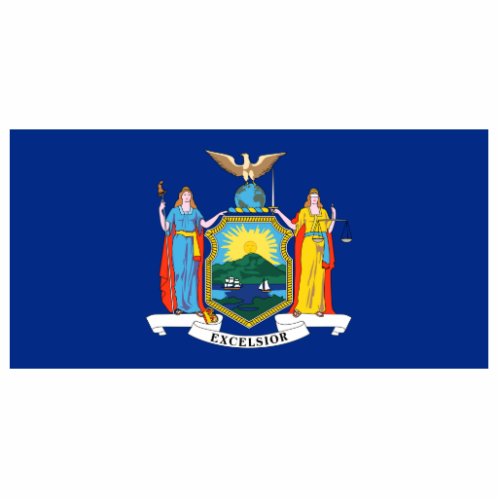 New York Flag The Empire State American Colonies Cutout