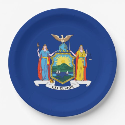 New York Flag The Empire State American Colonies Paper Plates