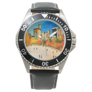 New York Ice rink Central Park   Watch