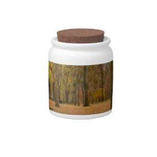 New York Jar Central Park Souvenir Candy Jar