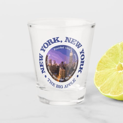 New York New York cities Shot Glass