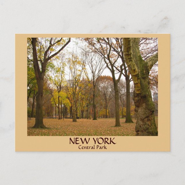 New York Postcards NYC Central Park Postcards (Front)