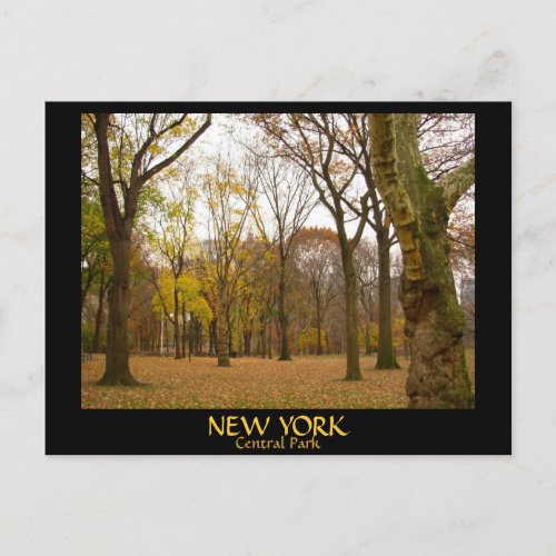New York Postcards NYC Central Park Postcards