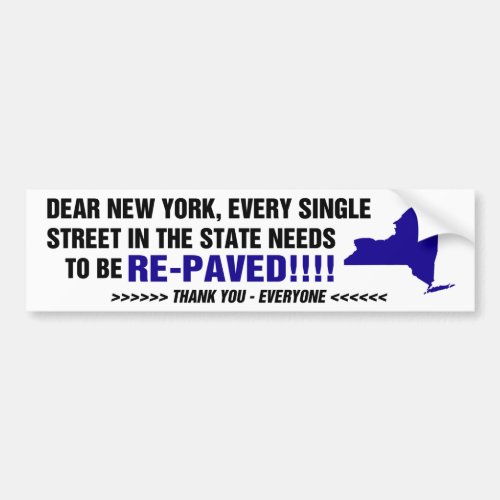 New York POTHOLES bumper sticker