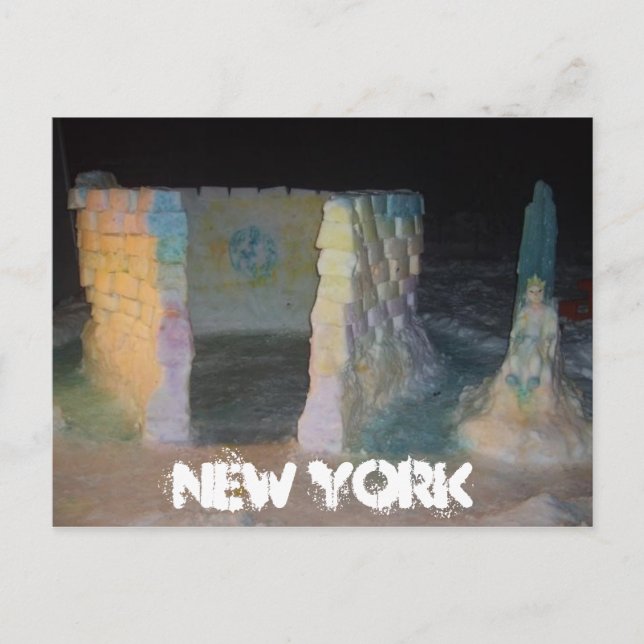 NEW YORK Snow fort Postcard By Mandi Bleyl (Front)