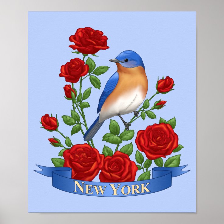 new-york-state-bird-and-flower-poster-zazzle