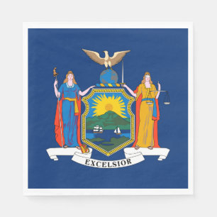 New York State Flag Napkins