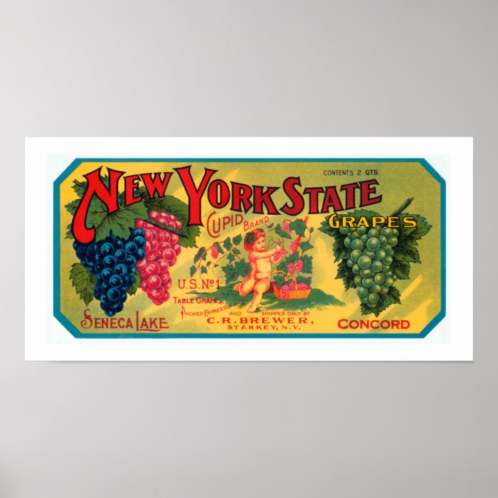 New York State Grapes Posters