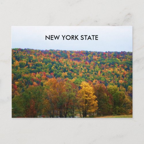 NEW YORK STATE IN AUTUMN postcard