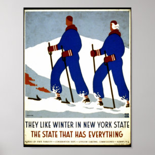 New York State Poster