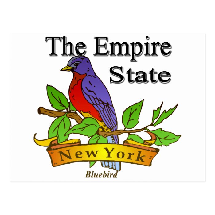 New York The Empire State Bird Post Card