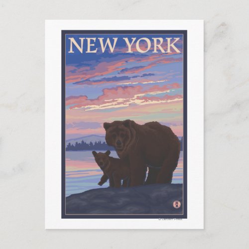New YorkBear and Cub Postcard