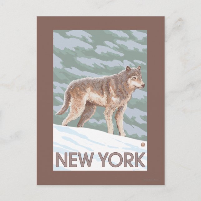 New YorkWolf Scene Postcard (Front)