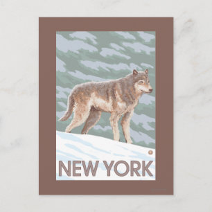 New YorkWolf Scene Postcard