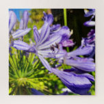 New Zealand Agapanthus Violet Flower Blooming Jigsaw Puzzle