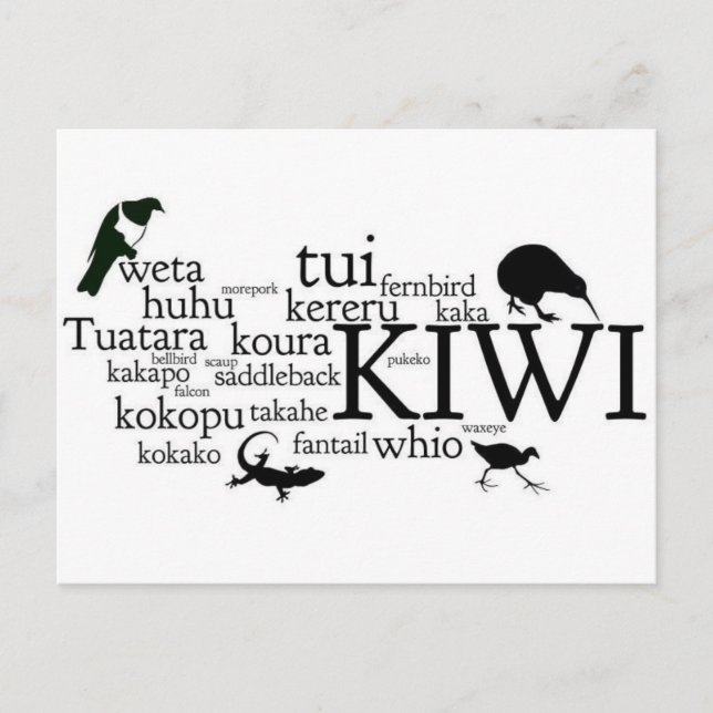 New Zealand animal postcard (Front)