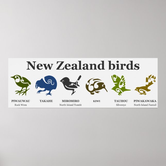 New Zealand birds poster (Front)