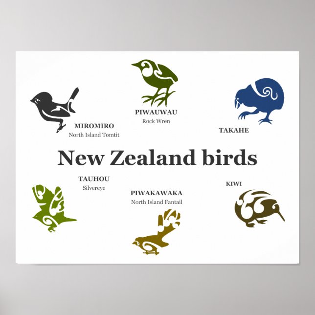 New Zealand Birds poster (Front)