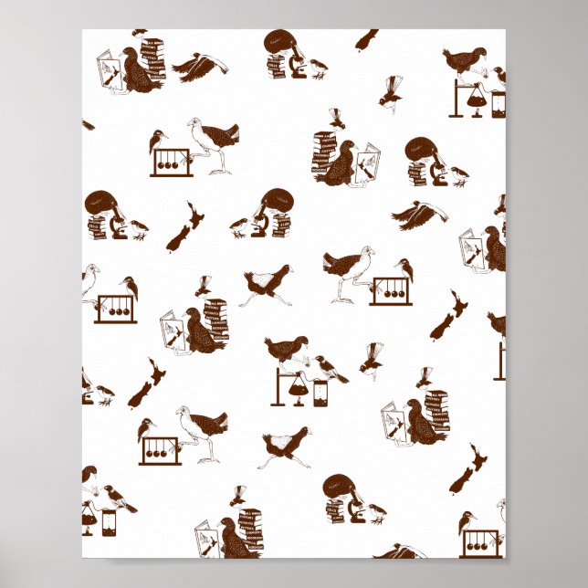 New Zealand Birds Science Students Poster (Front)