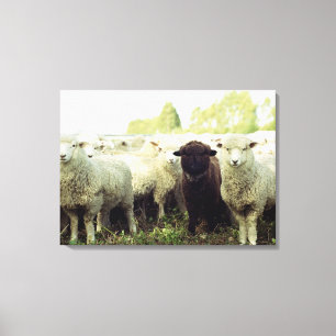 New Zealand Canvas Print