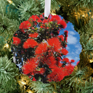 New Zealand Christmas tree Ornament Card