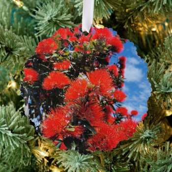 New Zealand Christmas Tree  Ornament Card by organs at Zazzle
