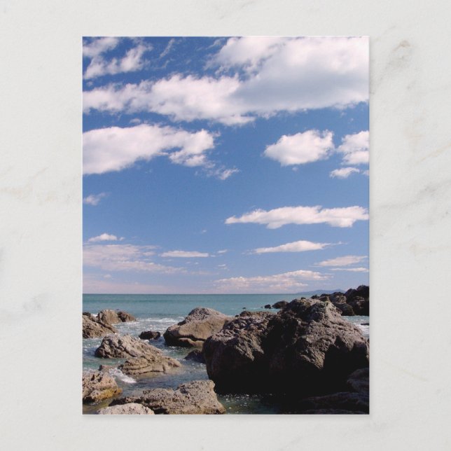 New Zealand Coast Postcard (Front)