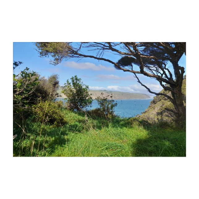 New Zealand Coastal Auckland Omanawanui Track Acrylic Print (Front)
