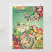 New Zealand collage (Front)