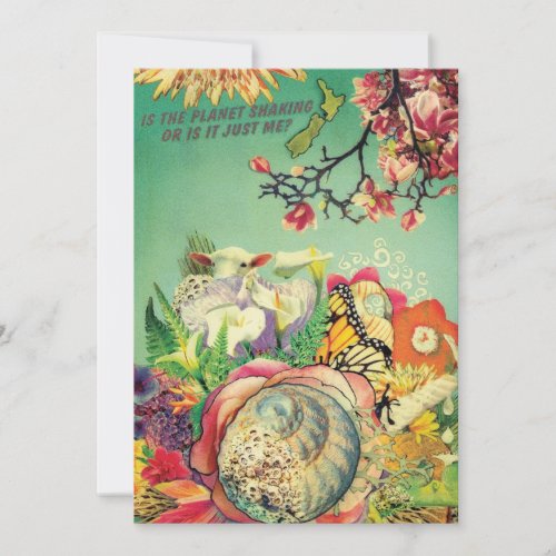 New Zealand collage Announcements