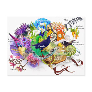New Zealand collage Postcard
