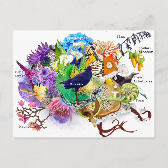 New Zealand collage Postcard (Front)