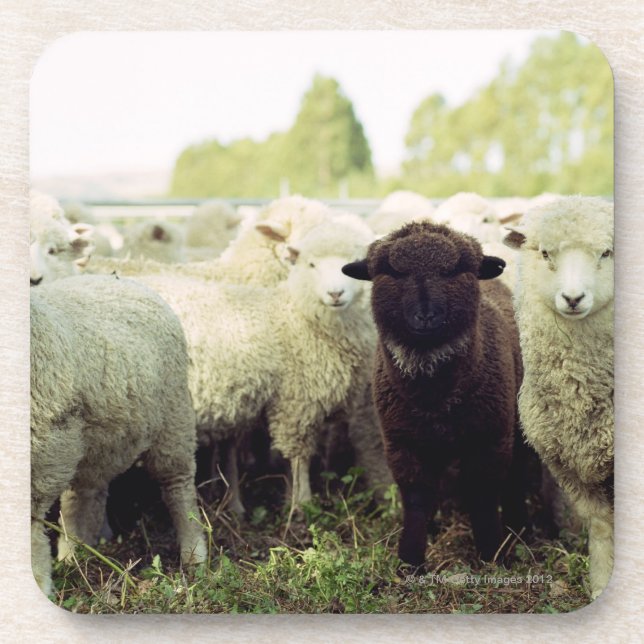 New Zealand Drink Coaster (Front)