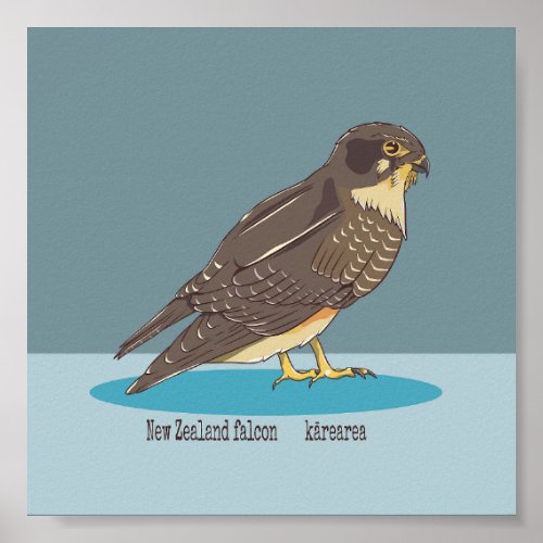 New Zealand Falcon Karearea Poster