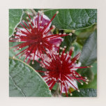 New Zealand Flower Red Blooming Feijoa Jigsaw Puzzle