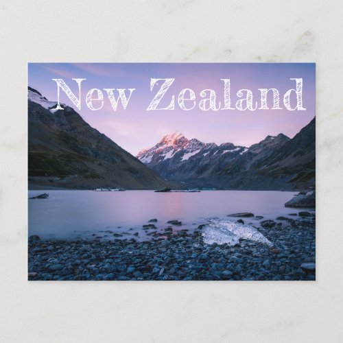 New Zealand  Holiday Postcard
